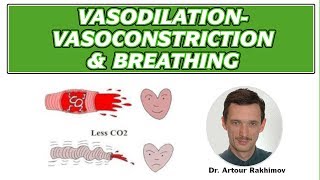 03A VasodilationVasoconstriction Poor Circulation and Breathing Patterns [upl. by Keeryt592]