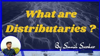 Distributaries What are distributaries   Distributary  What is distributary  Sunil Sardar [upl. by Ahtanoj]