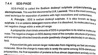 SDSPAGE  Electrophoresis [upl. by Seiber719]