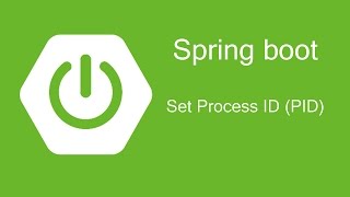 Spring Boot  Set Process ID PID [upl. by Mihar]