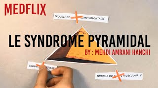 SÉMIOLOGIE NEUROLOGIE  LE SYNDROME PYRAMIDAL [upl. by Anomor]