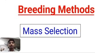 Mass Selection Breeding Method in Plant Breeding By  Jagdeesh [upl. by Gabbie147]