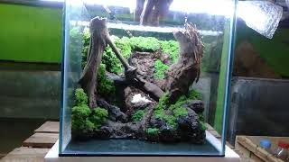 aquascape waterfall nano tank 30cmset up aquascape sebelum dikirim [upl. by Airdna608]