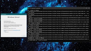 Destroying Windows Server 2025 Build 26252 [upl. by Banebrudge]