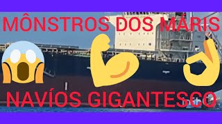 MÔNSTRO NO MAR E BARCO GIGÂNTE [upl. by Mccafferty]