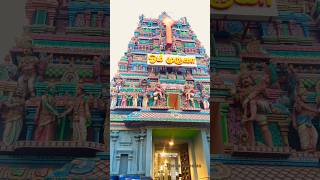 Maruthamalai Satthiyama Song  Chennai Famous Murugan Temple murugan shorts bhakti thelastcholas [upl. by Retluoc]