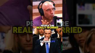 Rogan on Mark Zuckerberg Speaking Mandarin in China [upl. by Dlanar]