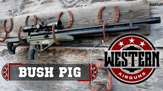 Best 45 Caliber Airgun  Western Bushbuck and Bushpig Carbine [upl. by Inej287]