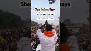 Dekho Dekho Kon aaya  Sher aaya sher aaya l Tiger Jairam Mahto l jairammahto [upl. by Kelcey]