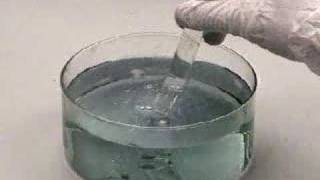 Reaction of Calcium with Water [upl. by Zenia]