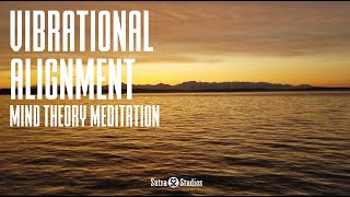 Vibrational Alignment  Guided Meditation [upl. by Richma]