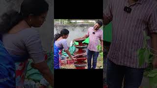 gardening idea తక్కువ ఖర్చులో ఎక్కువ మొక్కలు పెంచే ఐడియా [upl. by Asined]