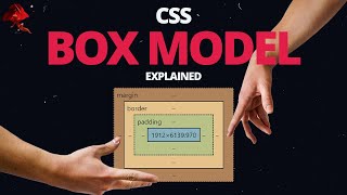 Learn CSS BOX MODEL  With Real World Examples [upl. by Nadnerb]