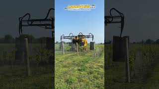 UltraProductive Vineyard Spraying  Efficient Pest and Disease Control [upl. by Morlee]