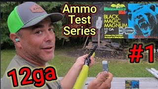 12ga Ammo Test Series 1 Brenneke BLACK MAGIC MAGNUM 3quot 600gr AccuracyGel [upl. by Jacobine]