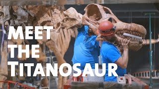 Meet the Titanosaur [upl. by Ailisec689]