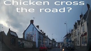 Why Did The Chicken Cross The Road [upl. by Camilia939]