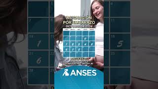 Calendario de Anses con las fechas de pago de la asignación por embarazo en octubre de 2024 anses [upl. by Tara]