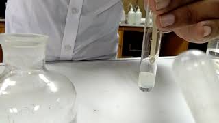 Chloride Test Halide test in qualitative salt analysis [upl. by Yesak]