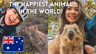 The BEST day on Rottnest Island Biking and Quokka selfies [upl. by Bekah]