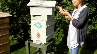 A colmeia Warré  The Warré Hive at the Natural Beekeeping Conference [upl. by Blumenthal]