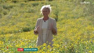 Ruth Dodsworth ITV Weather 26th July 2024 [upl. by Ahseikan]