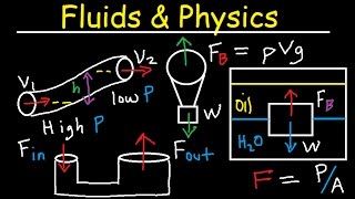 Fluid Pressure Density Archimede amp Pascals Principle Buoyant Force Bernoullis Equation Physics [upl. by Boutis]