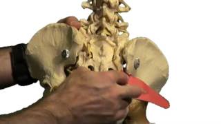 Sciatic Nerve Pain Relief [upl. by Chuck]