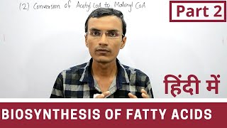 Fatty acid synthesis in Hindi  Part 2 [upl. by Uhej]