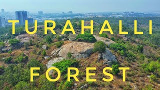 Turahalli Forest  The Last Surviving Forest of Bangalore  SAVE TURAHALLI  Forest in Bangalore [upl. by David]