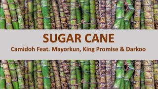 SUGAR CANE  Camidoh French lyrics [upl. by Roselyn559]