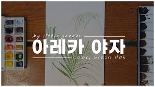 나의 작은 정원 l GREEN l 아레카 야자 [upl. by Lotti]