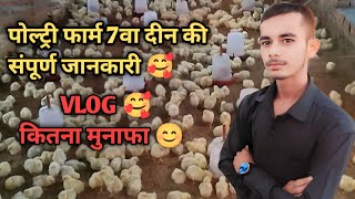 पोल्ट्री फार्म में 7 वें दिन की संपूर्णजानकारी ॥ poultry farm business  poultry farm mein income 🥰 [upl. by Sidhu]