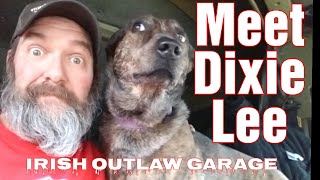 Meet DIXIE LEE dog youtube animals cars trucking [upl. by Dominic]