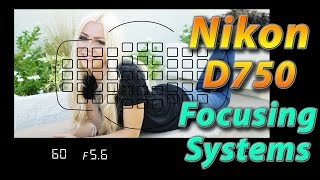 Nikon D750 Tutorial Training  Focusing Systems  How to [upl. by Mandeville537]