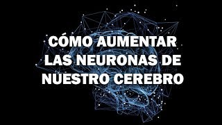 Cómo Aumentar La Producción De Neuronas De Nuestro Cerebro [upl. by Cantu]