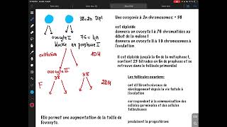 Ovogenèse résidanat oran [upl. by Ahsiyn]