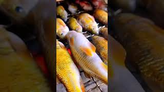 How to Make Perfect HeatDried Fish at Home  Easy amp Delicious [upl. by Avot]