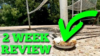 Forever Glides Wrought Iron Patio Furniture Feet Caps Review [upl. by Jamel]