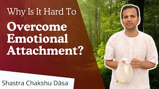 From Attachment To Detachment  BG 236  239  Shastra Chakshu Das  12th March 2024 [upl. by Noxaj]