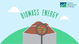 Renewable Energy 101 How Does Biomass Energy Work [upl. by Ecilahs682]