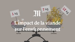 Limpact de la viande sur lenvironnement expliqué en 4 minutes [upl. by Lyrej]