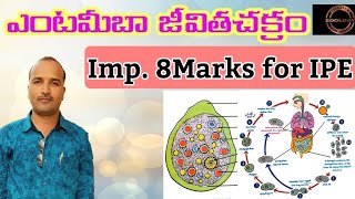 Entamoeba histolytica life cycleinteramoebiasissreedharszoologyTelugu medium ఎంటమీబా జీవిత చక్రం [upl. by Cowey]