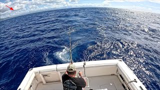 Offshore Fishing in Hawaii Deep Sea Fishing Oahu [upl. by Frissell]