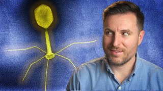 The History of Phage Therapy [upl. by Ylrebmek]