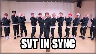 SEVENTEEN BEING 100 IN SYNC [upl. by Ailasor]