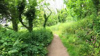 Slapton Sands Beach and Nature Reserve in Devon [upl. by Reddin]