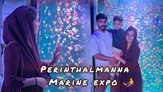 മൽസ്യ കന്യകമാർ നമ്മുടെ അടുത്ത് 🧜‍♀️ MARINE EXPO PERINTHALMANNA marineexpo perinthalmanna vlog [upl. by Marsiella707]