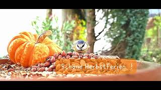 Schöne Herbstferien [upl. by Ahsinuq382]