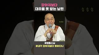 강아지보다 대우를 못 받는 남편 법륜스님 법륜스님쇼츠 법륜쇼츠 즉문즉설 정토불교대학 내가강아지보다못하다니 [upl. by Eigger]